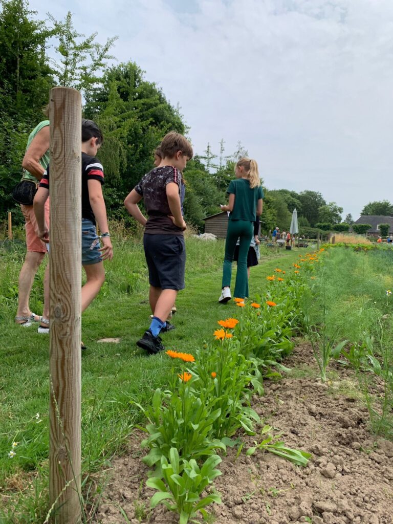 Groep zes in de ecologische teelttuin