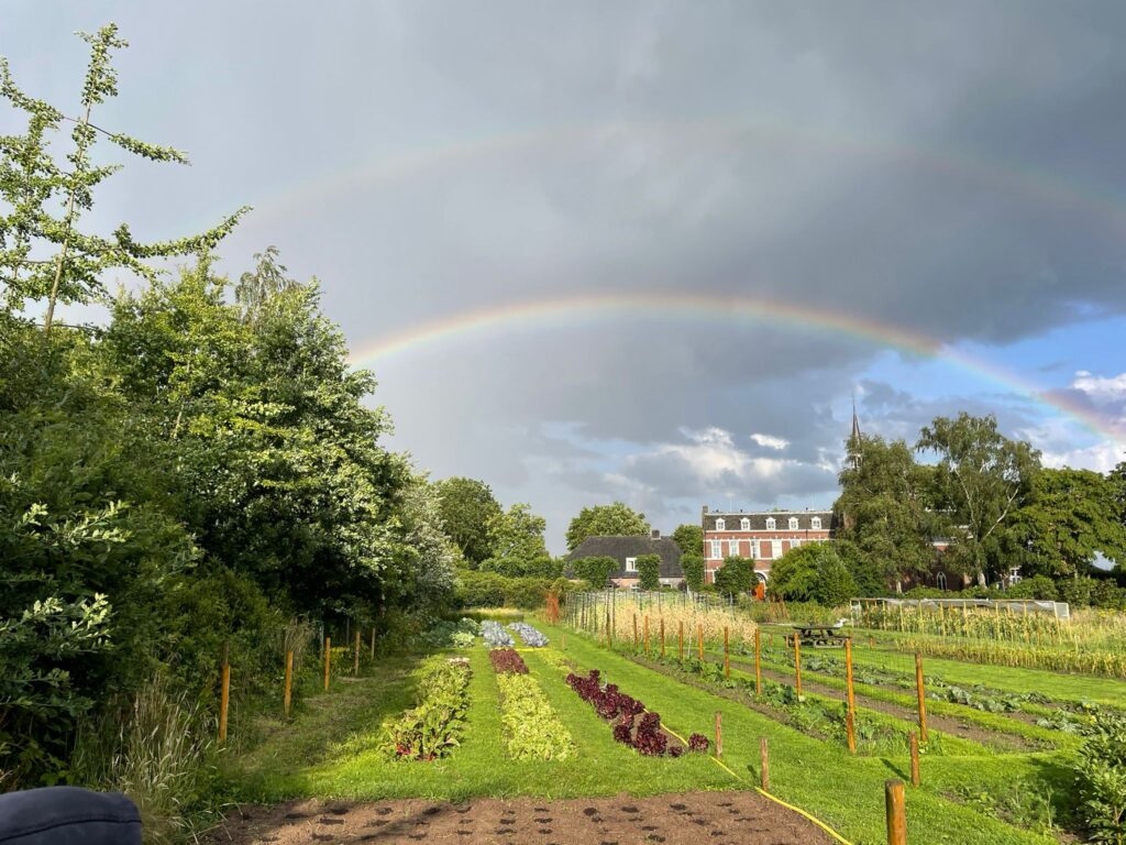 Teelttuin met regenboog